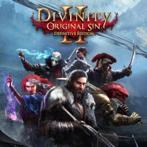 اکانت قانونی بازی Divinity: Original Sin 2 Definitive Edition